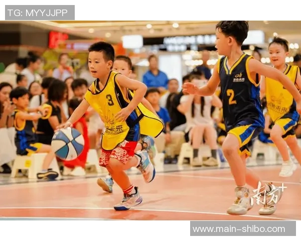 篮球教会我们的合作精神与高效问题解决能力的深刻启示