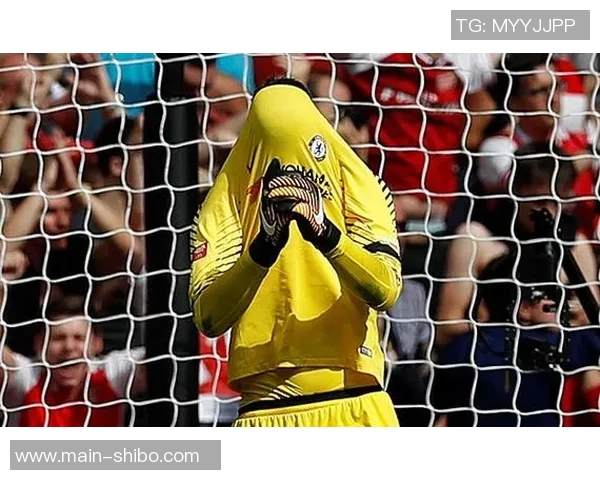 国际足联新规广告牌距离边线需保持1米以降低比赛风险